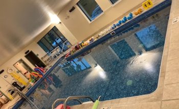 Thomas Nicolla Physical Therapy of Albany