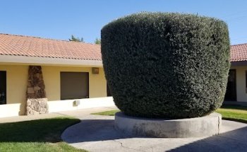 medical and chiropractic group