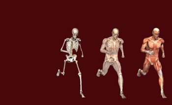 The Runner's Mechanic Physical Therapy Clinic