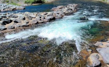 American River Rehabilitation