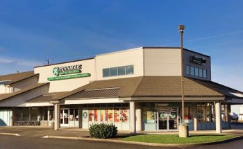 Pinnacle Medical Wellness