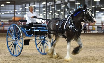 NovaCare Rehabilitation - Battle Creek