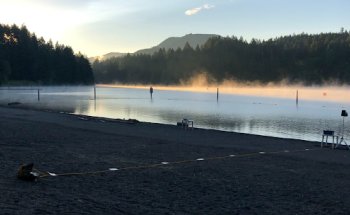 Synergy Spine Therapy