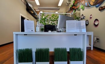 Divergent Physical Therapy