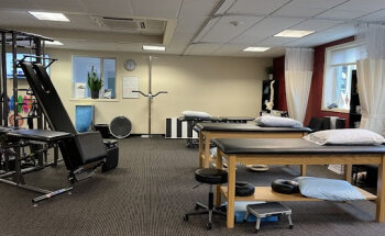 Professional Physical Therapy