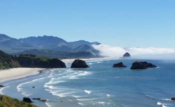 Results Neck & Back Therapy