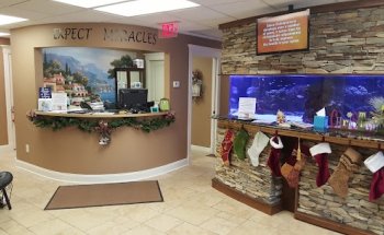 Central Illinois Spine