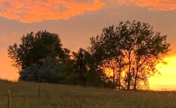 Neuromuscular Strategies Physical Therapy