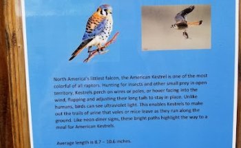 Birds of Prey Rehab Foundation