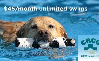 Canine Rehabilitation & Conditioning Group LLC