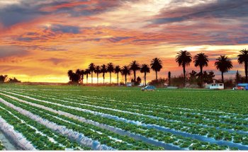 Active Spine & Sports Care