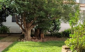 CEFIPI - Centro de Fisioterapia e Pilates