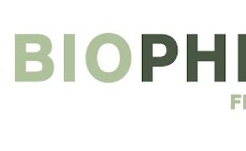 Biophisio Clínica de Fisioterapia