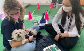 Santé Vie Vet - Centro de Fisioterapia e Bem-estar Animal