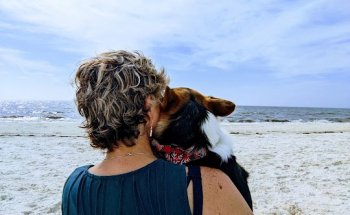 Integrated Therapy Services, LLC