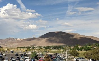 Great Basin Orthopaedics