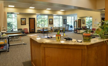 PT Solutions of Cary