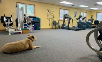 Hands On Physical Therapy - East Clinic