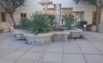 Cheeley Chiropractic Inc