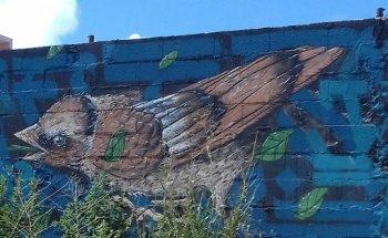 Centro De Fisioterapia Senhora Da Conceição Lda