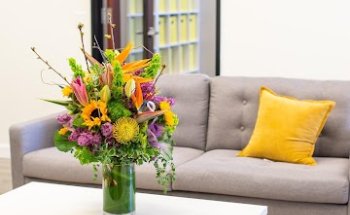 Development Is Child's Play