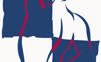 Individual Physical Therapy Solutions