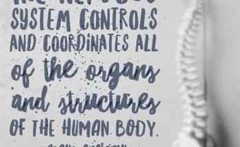 Delano Acupuncture & Chiropractic Center