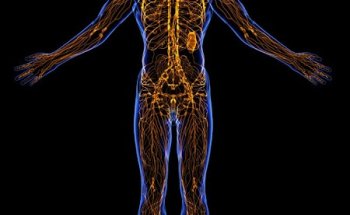 J. Lavarias, PT, DPT, CLT