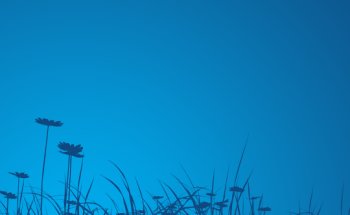 Dove Healthcare - West Eau Claire