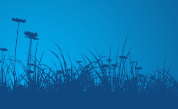 Dove Healthcare – South Assisted Living