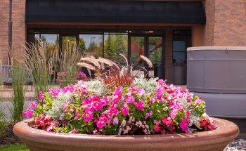 Orthology - Eden Prairie