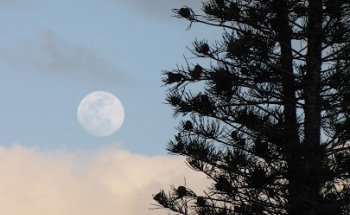 Human Touch Therapeutics