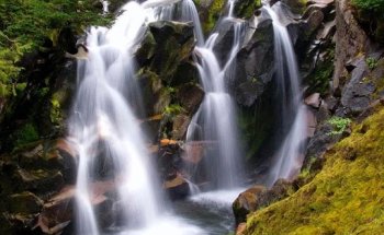 Natural Health Center