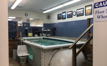 Athletico Physical Therapy - Florissant