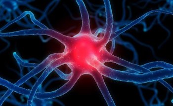 Pro Neuro Medical Group