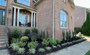 Adventure Ready Physical Therapy