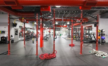 True Sports Physical Therapy Frederick