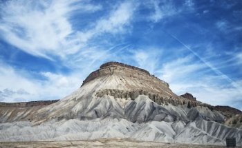 Primary Care Partners Inc.