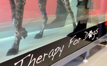 Animal Rehabilitation Center of Western Colorado