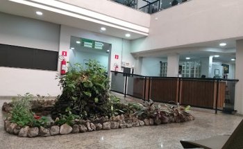 Centro Ortopédico Guarulhos (COG)