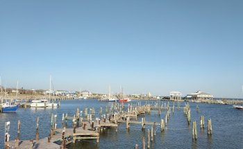 Gulf Coast Mental Health Center (CSU)