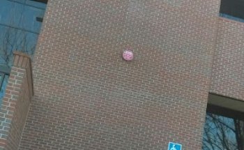 Women's Health: Adventist Health Physicians Network