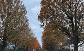 South Nassau Physical Therapy