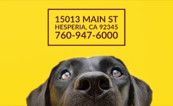 Animal Medical Center