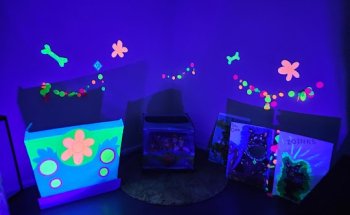 O.T. WELLNESS THERAPY SOLUTIONS