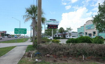 Impact Health and Performance