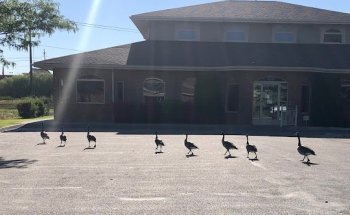 Center For Regenerative Medicine at Mountain View Hospital