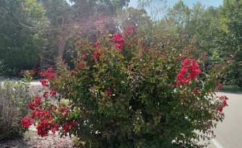 Landmark Hospital of Joplin MO