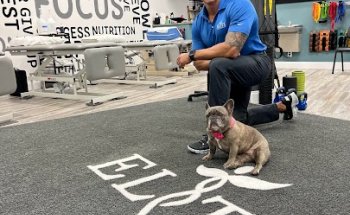 Elite Therapy & Wellness