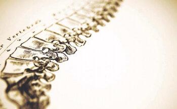 Thomas Lorblanchet | Osteopathe à Clermont-Ferrand